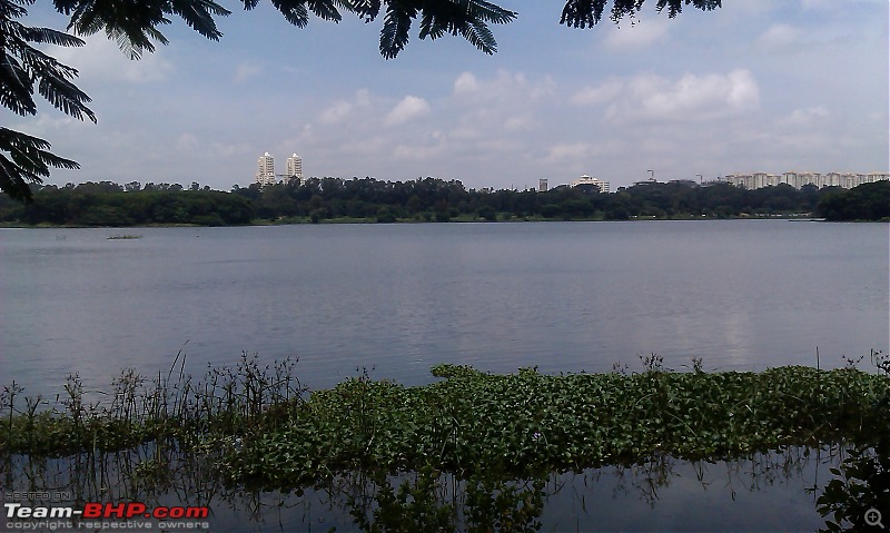 Photologue: The Lakes of Bangalore-imag0311.jpg