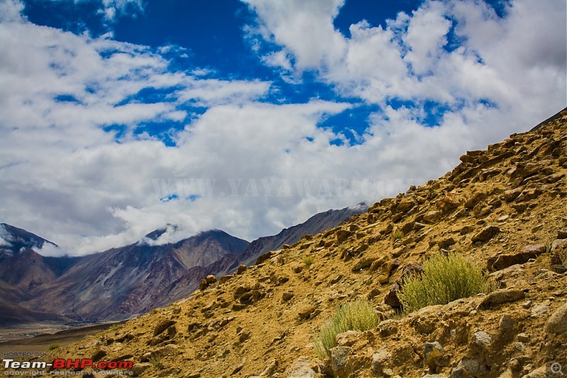 The Yayawar Group wanders in Ladakh & Spiti-10.77.jpg