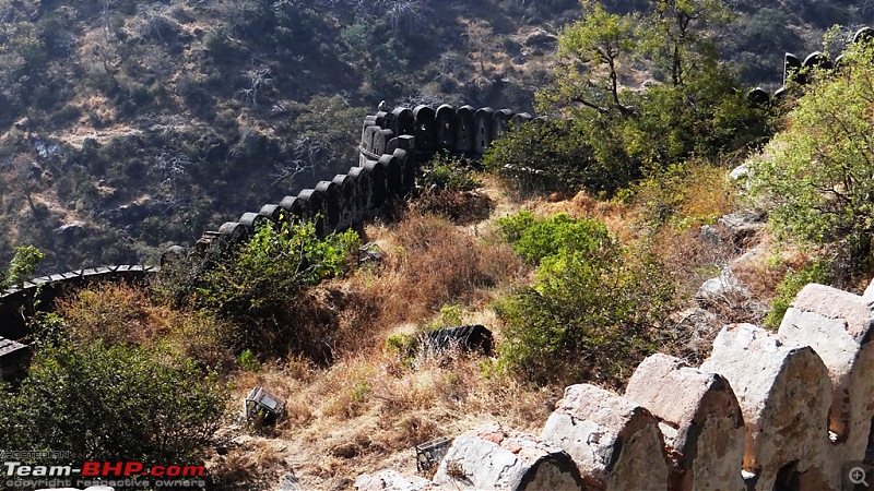 A week's drive through Rajasthan - The bastions of the Mewar Kingdom-dsc01824.jpg