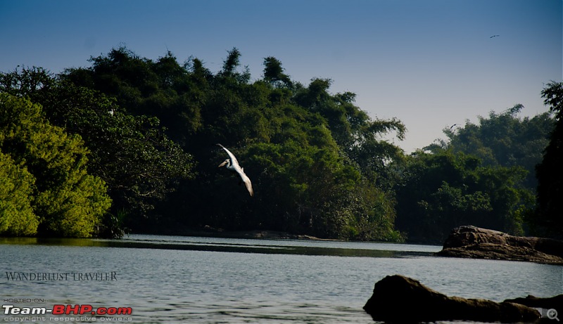 Wanderlust Traveler: Ranganathittu, Srirangapatna & Kokkare Bellur-suh_1049.jpg