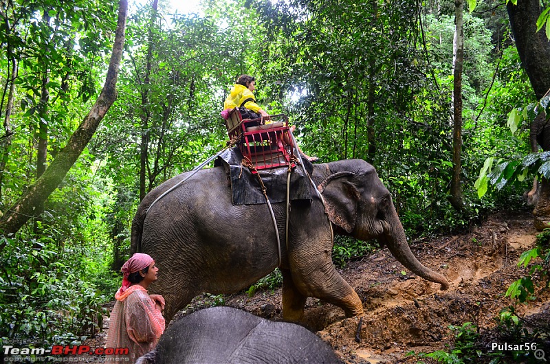 Thailand: Kanchanaburi, Khao Sok & Phuket - A Road Trip!-dsc_0423001.jpg