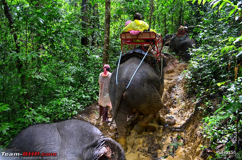 Thailand: Kanchanaburi, Khao Sok & Phuket - A Road Trip!-dsc_0439001.jpg