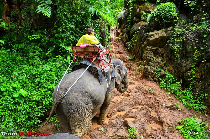 Thailand: Kanchanaburi, Khao Sok & Phuket - A Road Trip!-dsc_0455001.jpg