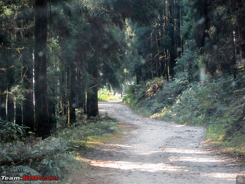 Journey is the Destination - Charkhole, Lolegaon, Rishop and Mt Faintenjungha-img_2517.jpg