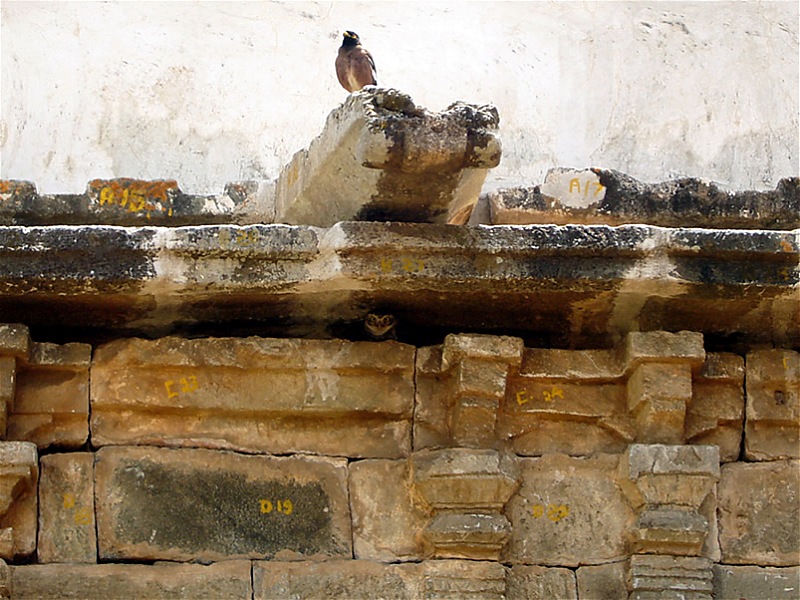 'Xing'ing around ! - An incomplete guide to Hoysala temples ;-)-79.jpg