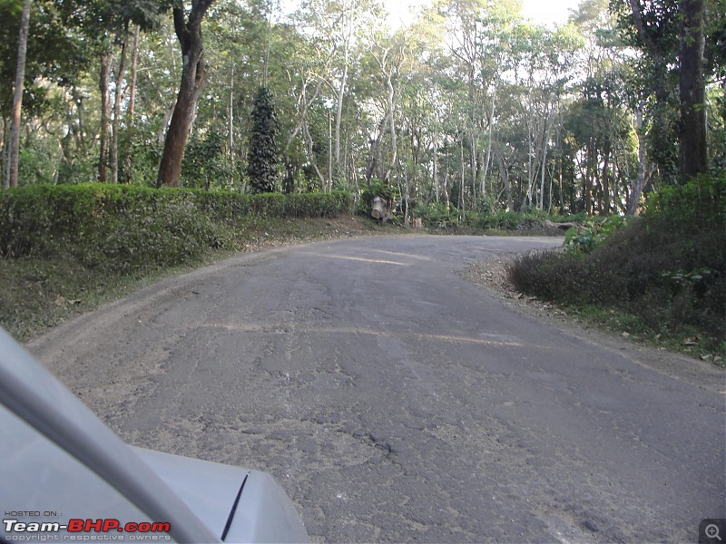 Southwards from Lucknow: To Mysore and further-dsc06484.jpg