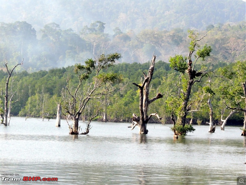 Andamans: Pristine Nature in all its glory-11.jpg