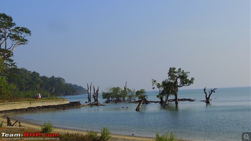 Andamans: Pristine Nature in all its glory-15.jpg