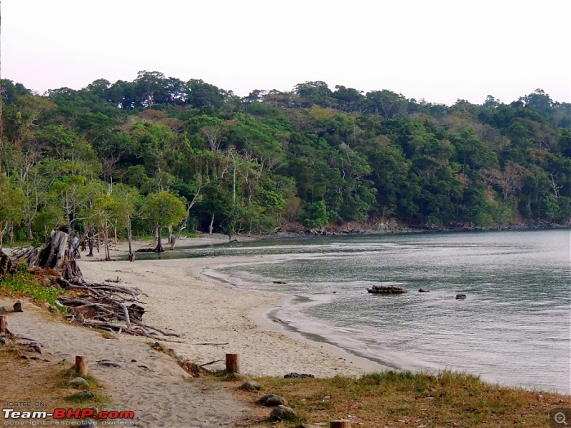 Andamans: Pristine Nature in all its glory-17.jpg