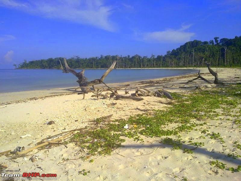 Andamans: Pristine Nature in all its glory-campbell-bay-1.jpg