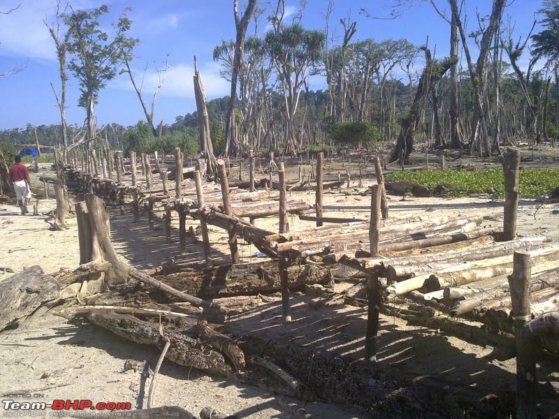 Andamans: Pristine Nature in all its glory-campbell-bay4.jpg