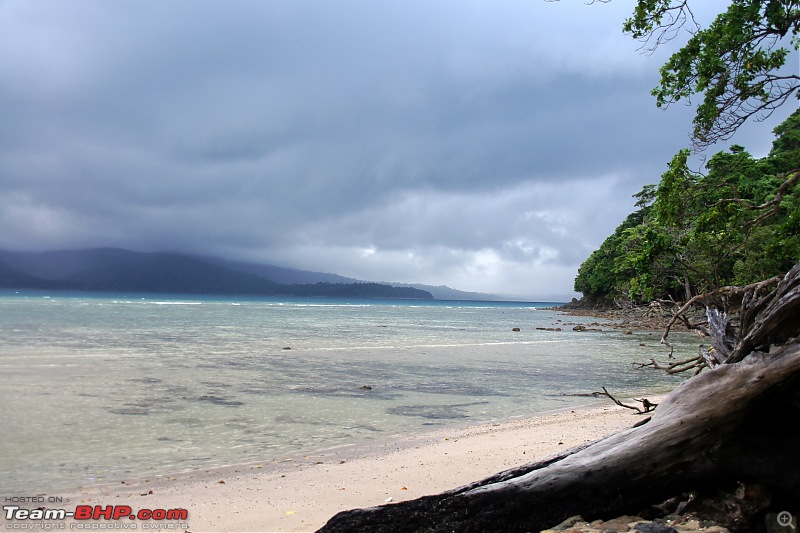 Andamans: Pristine Nature in all its glory-dsc08307_reduced.jpg