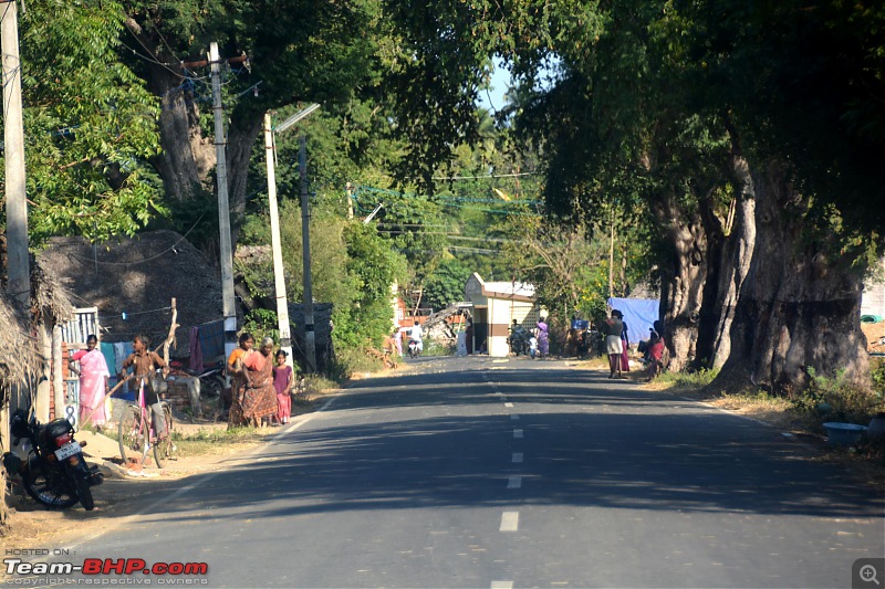 A Pichavaram Detour-b.jpg