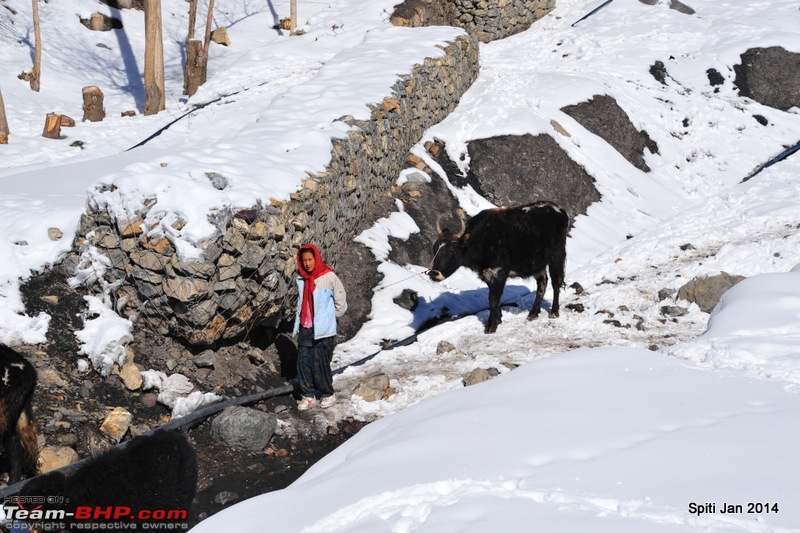 Winter trip to Spiti in a Fortuner & Thar-rsm_7163.jpg