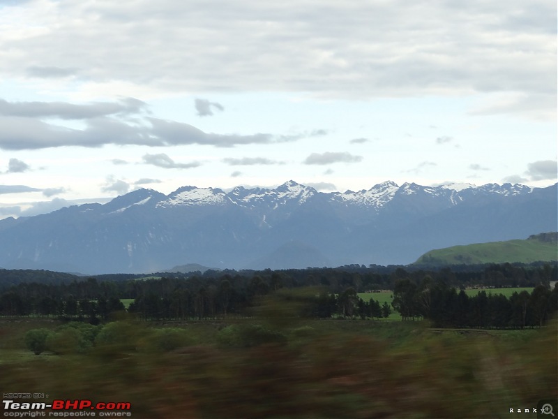 New Zealand: End to End-dsc01617.jpg