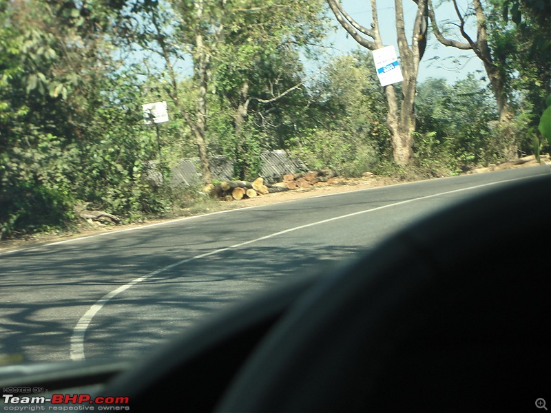 Southwards from Lucknow: To Mysore and further-dsc06911.jpg