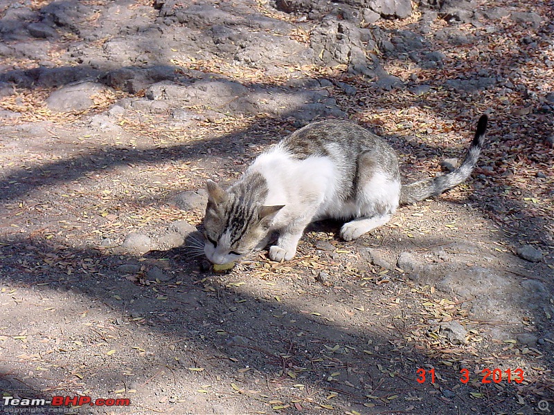 Bhuleshwar Temple: Nice day trip from Pune-havingbreakfast.jpg