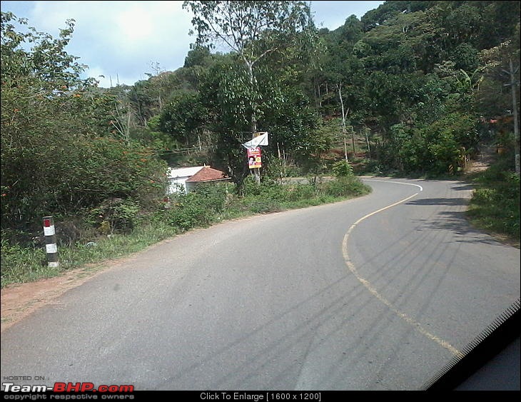 Bangalore to Thekkady - Many alternate roads, still good timing-spice-plantation-road.jpg