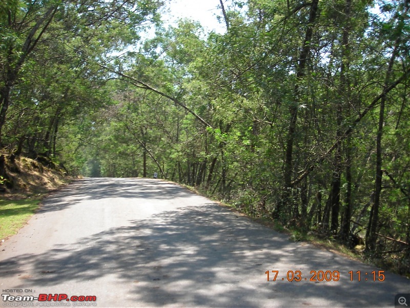 Palio: Pune-Mysore-Kodaikanal-Munnar-Banglore-Pune-kodairoad1.jpg