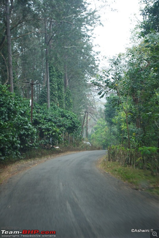 A Day in the Clouds - Weekend @ Yercaud-11.jpg