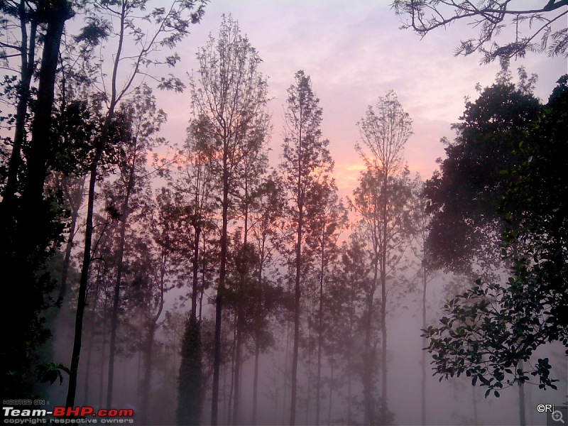 A Day in the Clouds - Weekend @ Yercaud-b4.jpg