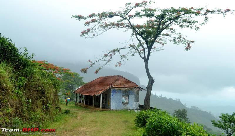 Name:  DSC_0131.png
Views: 7764
Size:  599.9 KB