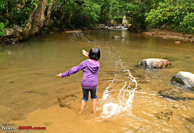 Name:  DSC_0370.png
Views: 7803
Size:  872.9 KB