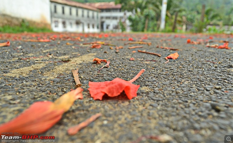 In Search of the Haunted Bungalow at Bonacaud, Trivandrum-dsc_0419.jpg