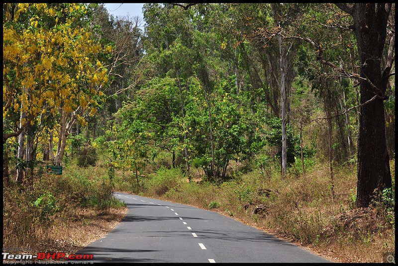 Bangalore - Thirunelli - Bandipur Trip : Forests & Fire-dsc_0118.jpg