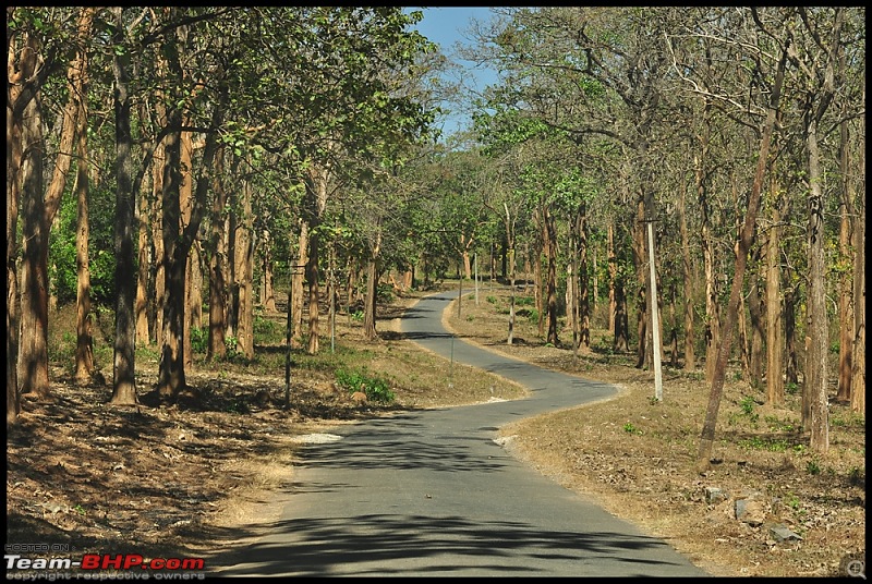 Bangalore - Thirunelli - Bandipur Trip : Forests & Fire-dsc_0348.jpg