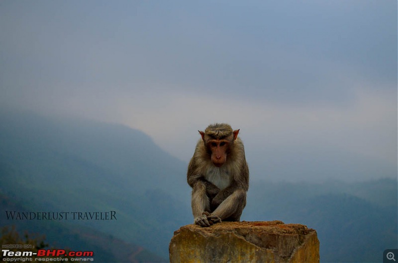 Wanderlust Traveler - Ooty & Coonoor from Bangalore-suh_2079.jpg