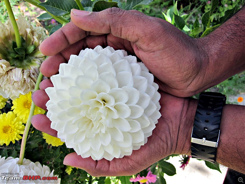 Dreams of Leh: A couple's motorcycle ride to the Himalayas - Part II-img_4940.jpg