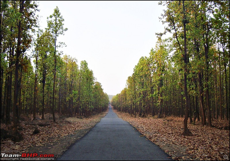 The scintillating Patratu Valley in Jharkhand-dsc01620.jpg