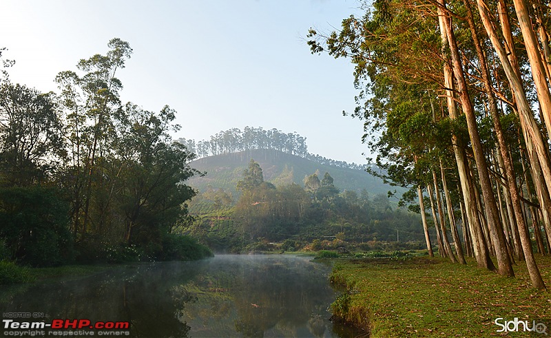 Breathe, you are in God's own country! A visit to Munnar-munnar-final.jpg