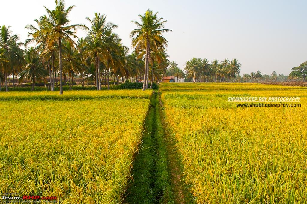 Bildergebnis für a village in South India