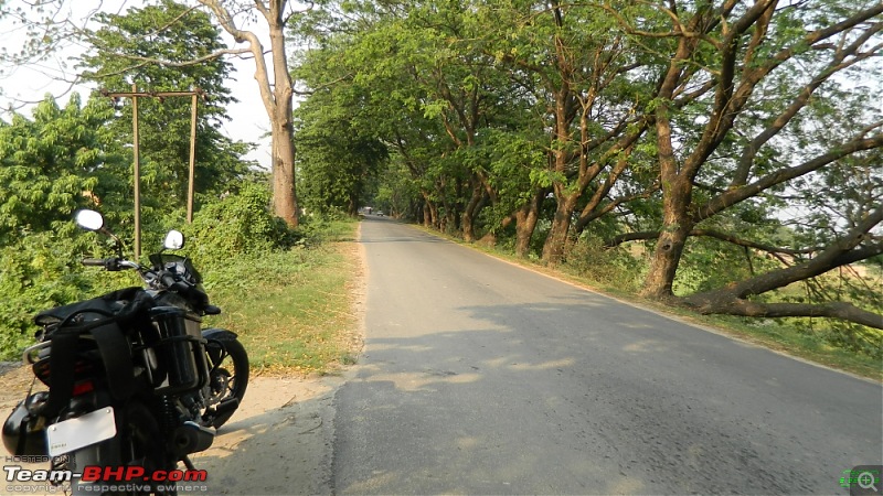 Memorable Motorcycle Trip: Panbari - Digaru - Pobitora (near Guwahati, Assam)-jrd1003.jpg