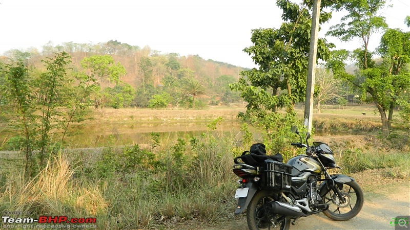 Memorable Motorcycle Trip: Panbari - Digaru - Pobitora (near Guwahati, Assam)-jrd1012.jpg