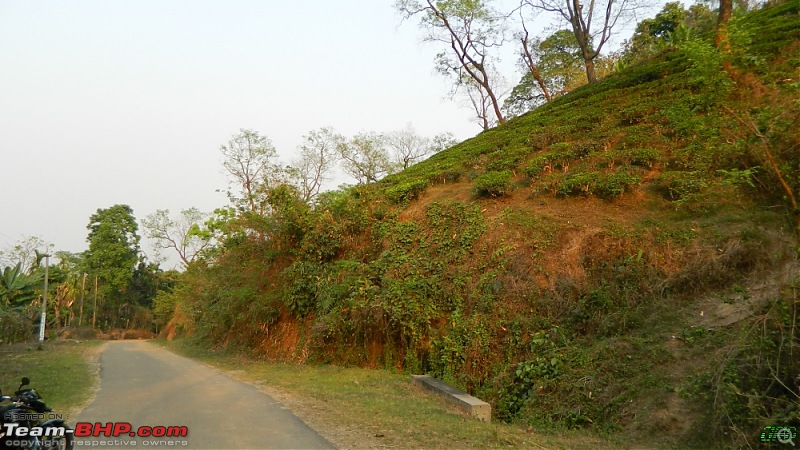 Memorable Motorcycle Trip: Panbari - Digaru - Pobitora (near Guwahati, Assam)-jrd1065.jpg