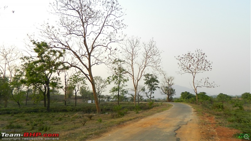 Memorable Motorcycle Trip: Panbari - Digaru - Pobitora (near Guwahati, Assam)-jrd1067.jpg