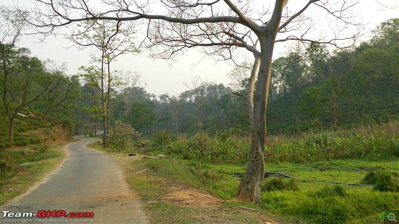 Memorable Motorcycle Trip: Panbari - Digaru - Pobitora (near Guwahati, Assam)-jrd1075.jpg