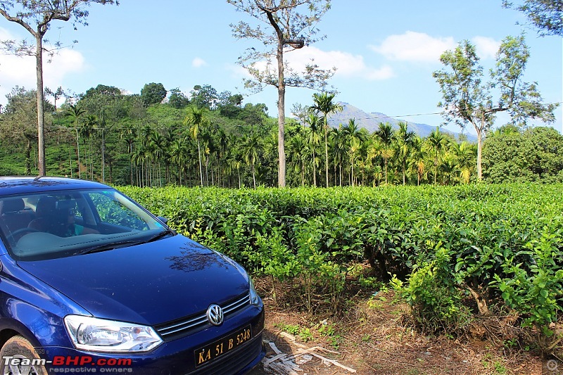 Zooming Down South: 2000 km road-trip in a VW Vento-img_5195.jpg