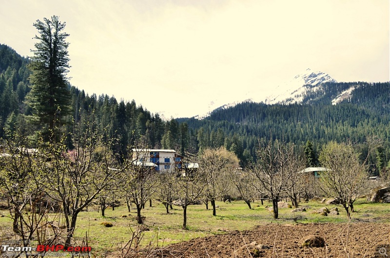 Himachal Drive: Shoja, Parvati Valley, Parashar Lake, Jhanjheli & more-d7k_1879.jpg