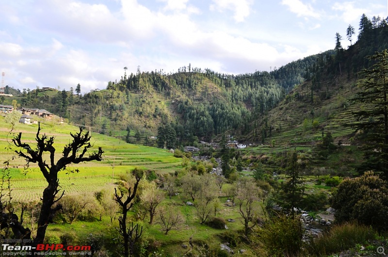 Himachal Drive: Shoja, Parvati Valley, Parashar Lake, Jhanjheli & more-d7k_1986.jpg