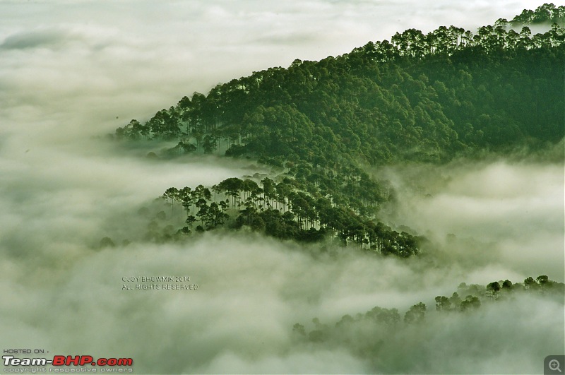 Heaven's Tides - Kausani, up in the Kumaon hills of Uttarakhand-18thewavesrollintothetrees.jpg