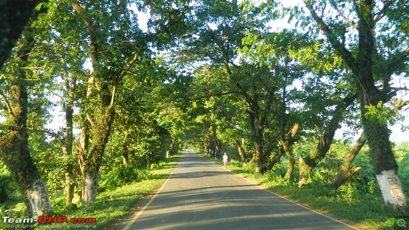 Memorable Motorcycle Trip: Panbari - Digaru - Pobitora (near Guwahati, Assam)-jrd1002.jpg