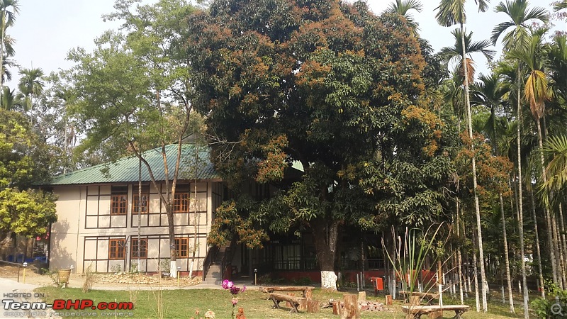 Photo-Tour: Kaziranga National Park & Hoollongapar Gibbon Sanctuary (Assam)-20140316_085556.jpg