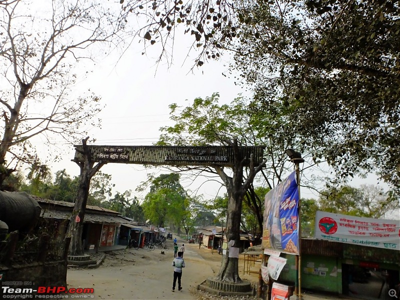 Photo-Tour: Kaziranga National Park & Hoollongapar Gibbon Sanctuary (Assam)-dscf4135.jpg