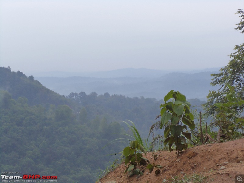 Tryst with an elephant - A Coorg photologue-dsc02332.jpg