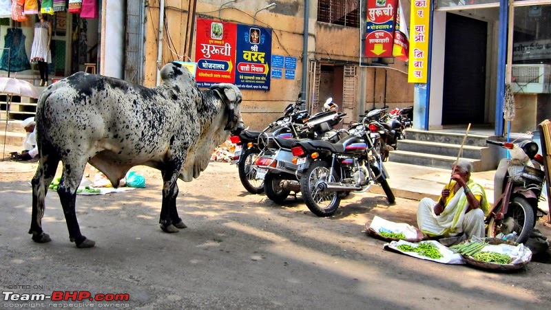 Seven stories - Roaming in Maharashtra-img_0484_fhdr.jpg