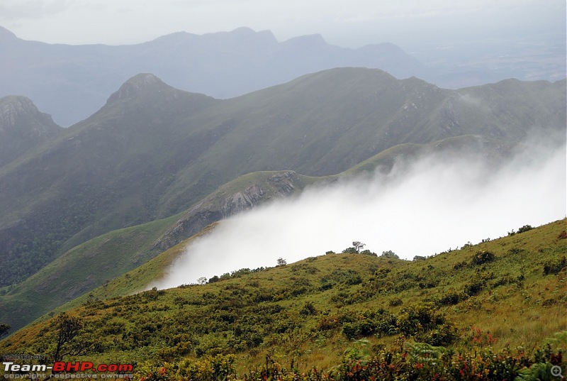 Kookal  A Trekker's Paradise-dsc_0062.jpg